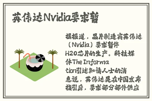 快穿肉液精华